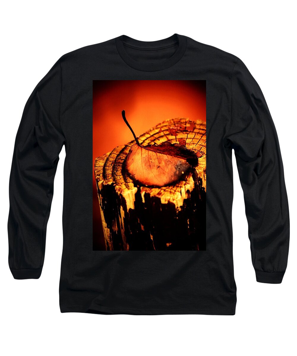 Leaf Long Sleeve T-Shirt featuring the photograph A pose for fall by Jessica S