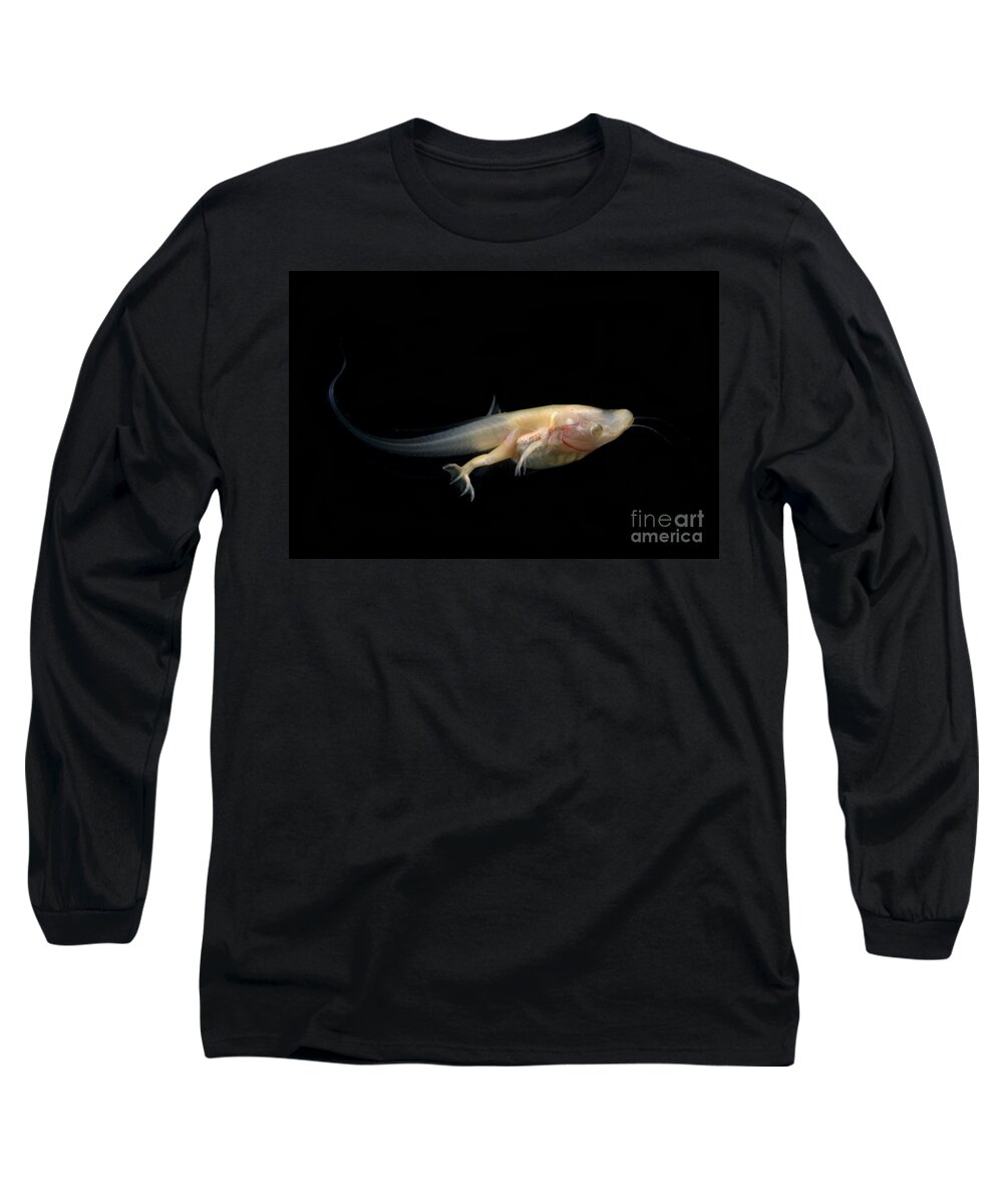 African Clawed Frog Long Sleeve T-Shirt featuring the photograph African Clawed Frog Tadpole by Dante Fenolio
