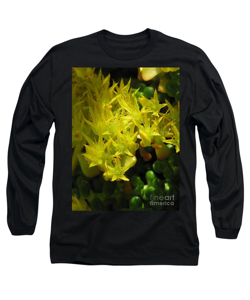 Sedum Oreganum Long Sleeve T-Shirt featuring the photograph Almost Undersea by Rory Siegel