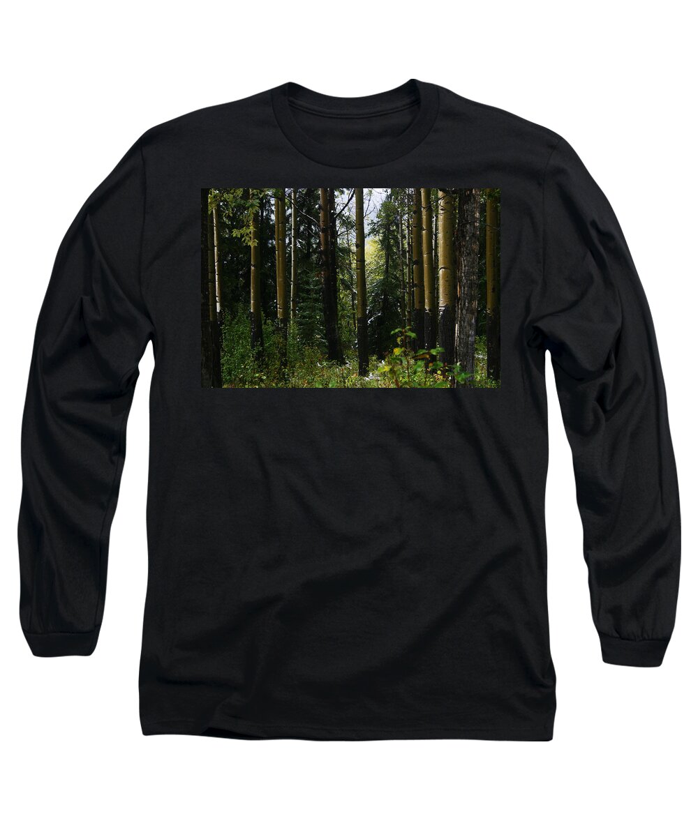 Aspens Long Sleeve T-Shirt featuring the photograph Aspens Banff National Park by Benjamin Dahl