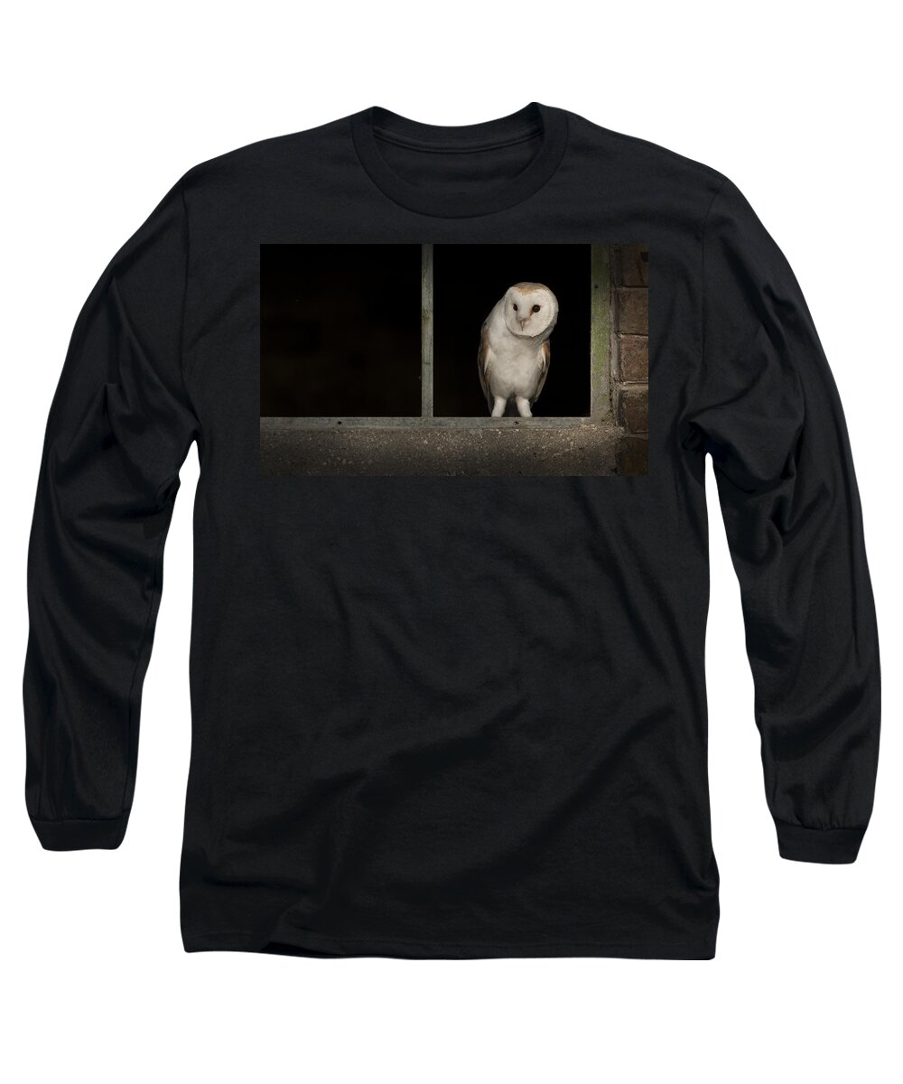 Barn Owl Long Sleeve T-Shirt featuring the photograph Barn Owl in Window by Andy Astbury