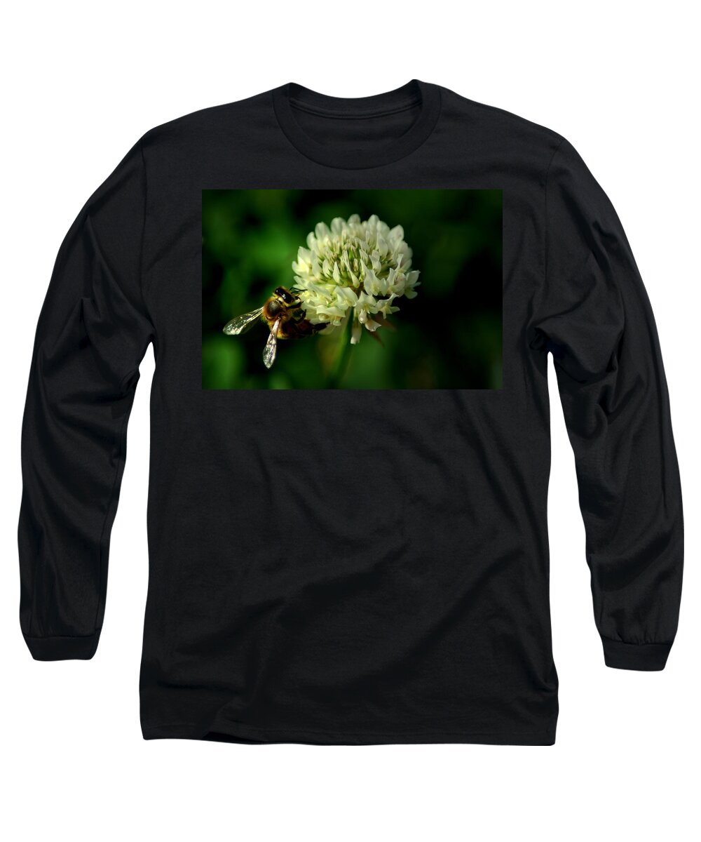 Bee Long Sleeve T-Shirt featuring the photograph BeeFlower2 by David Weeks