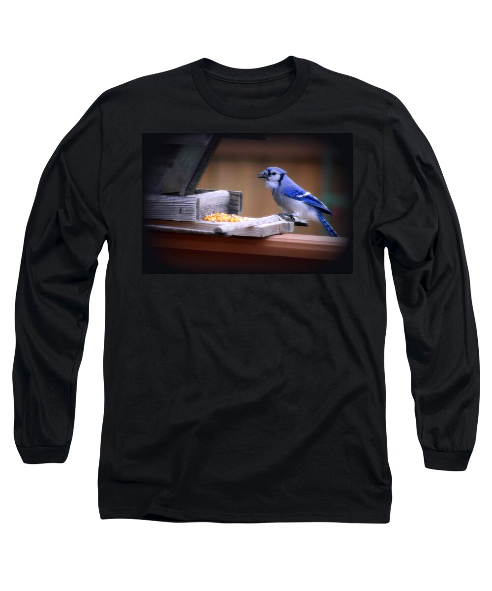Beautiful Long Sleeve T-Shirt featuring the photograph Blue Jay On Backyard Feeder by Kay Novy