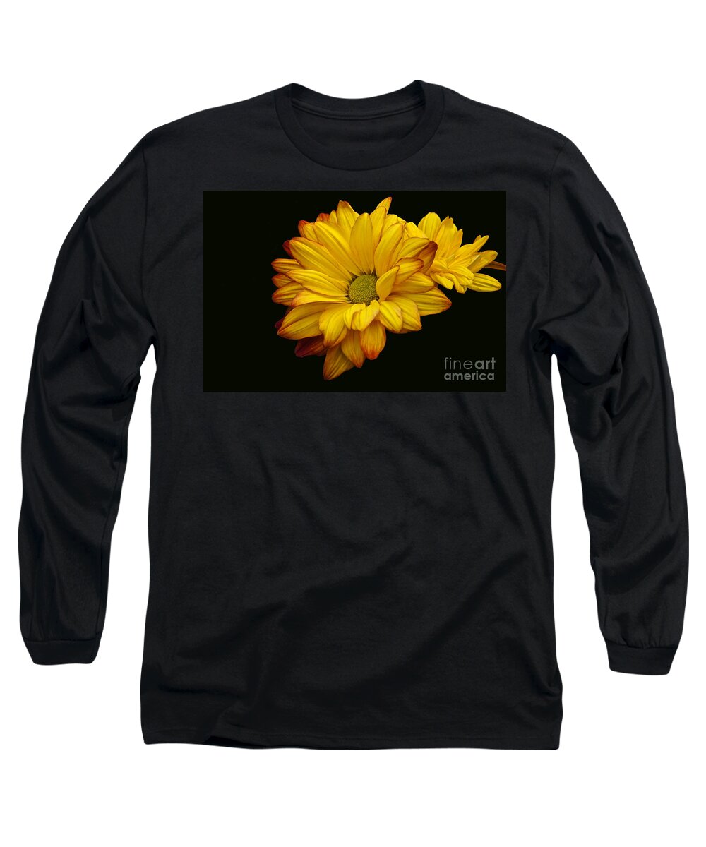 Chrysanthemum Long Sleeve T-Shirt featuring the photograph Bright And Brassy by Byron Varvarigos