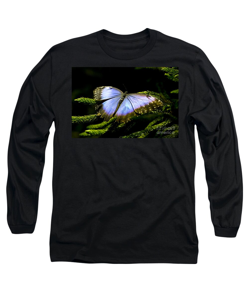 Butterfly Long Sleeve T-Shirt featuring the photograph Bright Blue by Leslie Leda