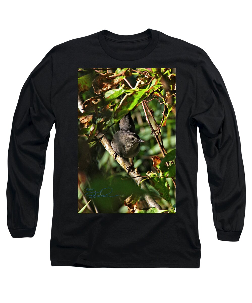 Gray Catbird Long Sleeve T-Shirt featuring the photograph Catbird by S Paul Sahm