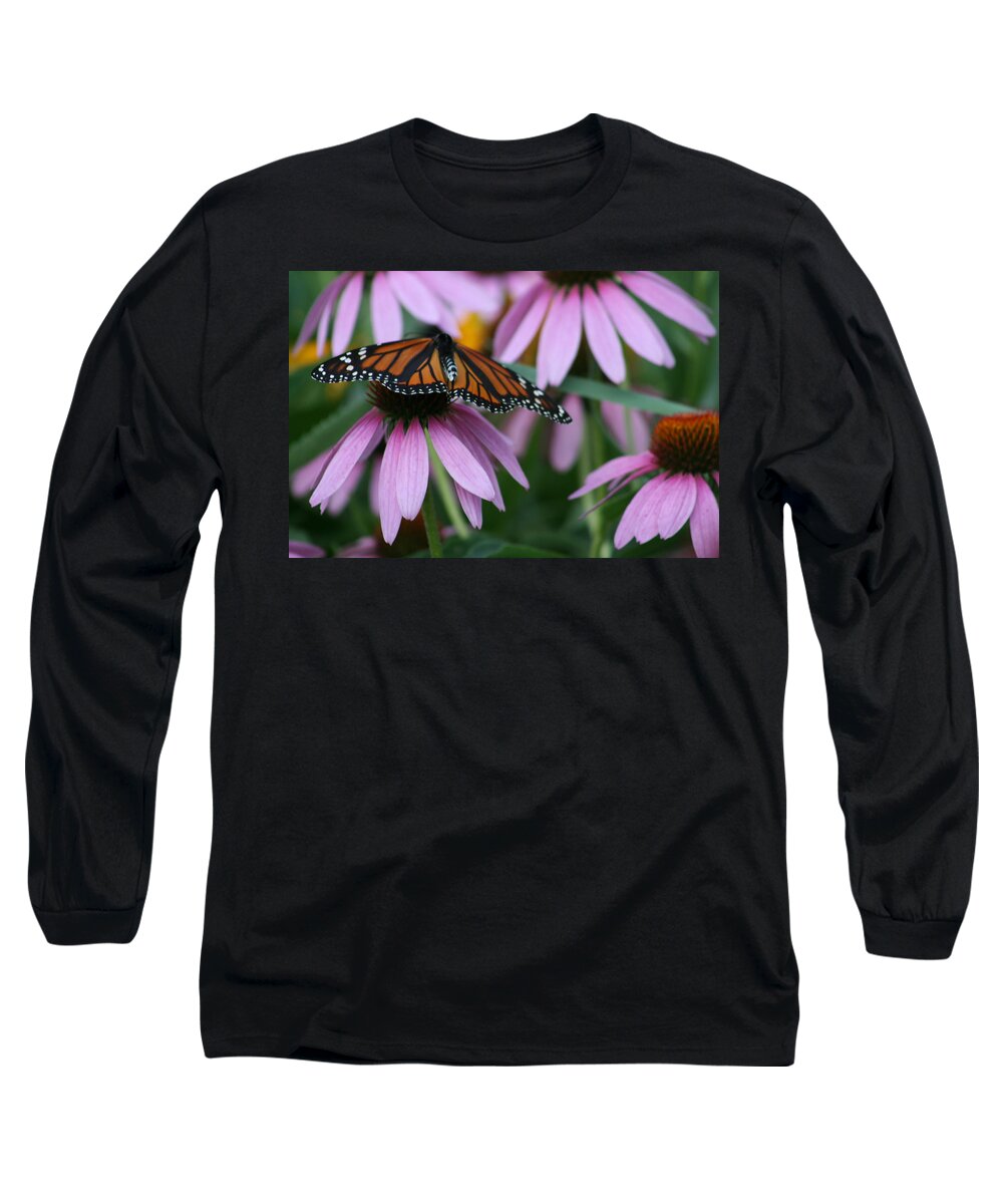 Nature Long Sleeve T-Shirt featuring the photograph Cone Flowers And Monarch Butterfly by Kay Novy