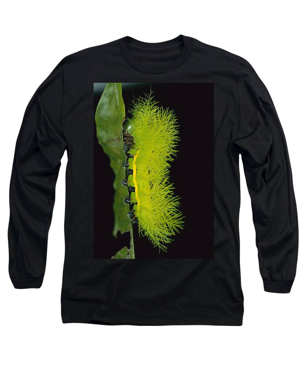 Mp Long Sleeve T-Shirt featuring the photograph Cup Moth Limacodidae Caterpillar by Christian Ziegler