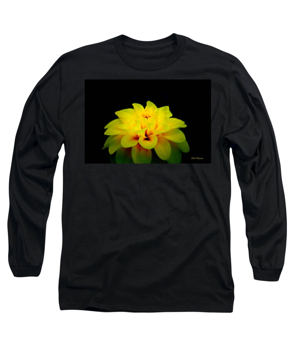 Flower Long Sleeve T-Shirt featuring the photograph Dahlia Delight by Jeanette C Landstrom