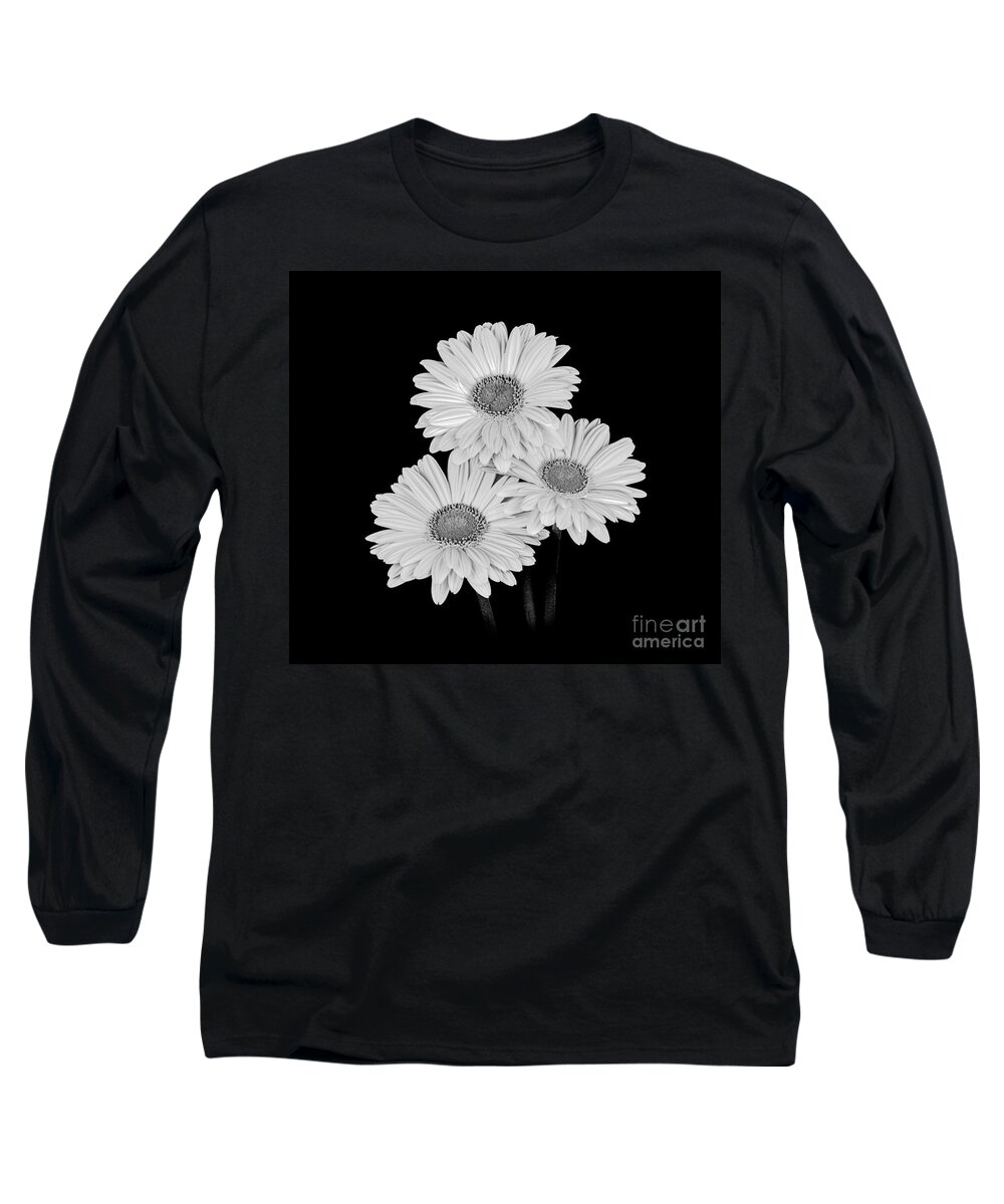 Flower Long Sleeve T-Shirt featuring the photograph Daisies - Black and White by Larry Carr