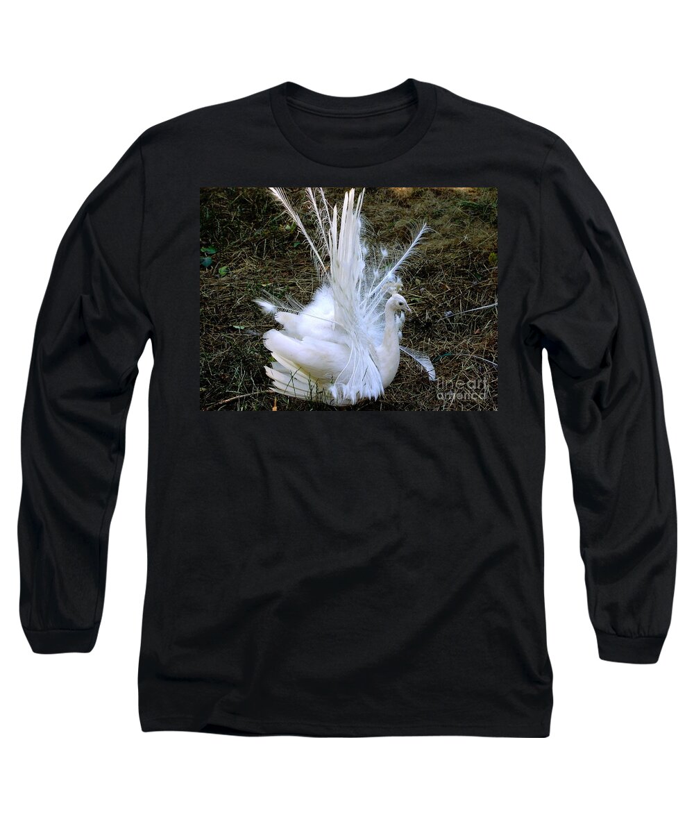 Peacock Long Sleeve T-Shirt featuring the photograph Effervescence by Rory Siegel