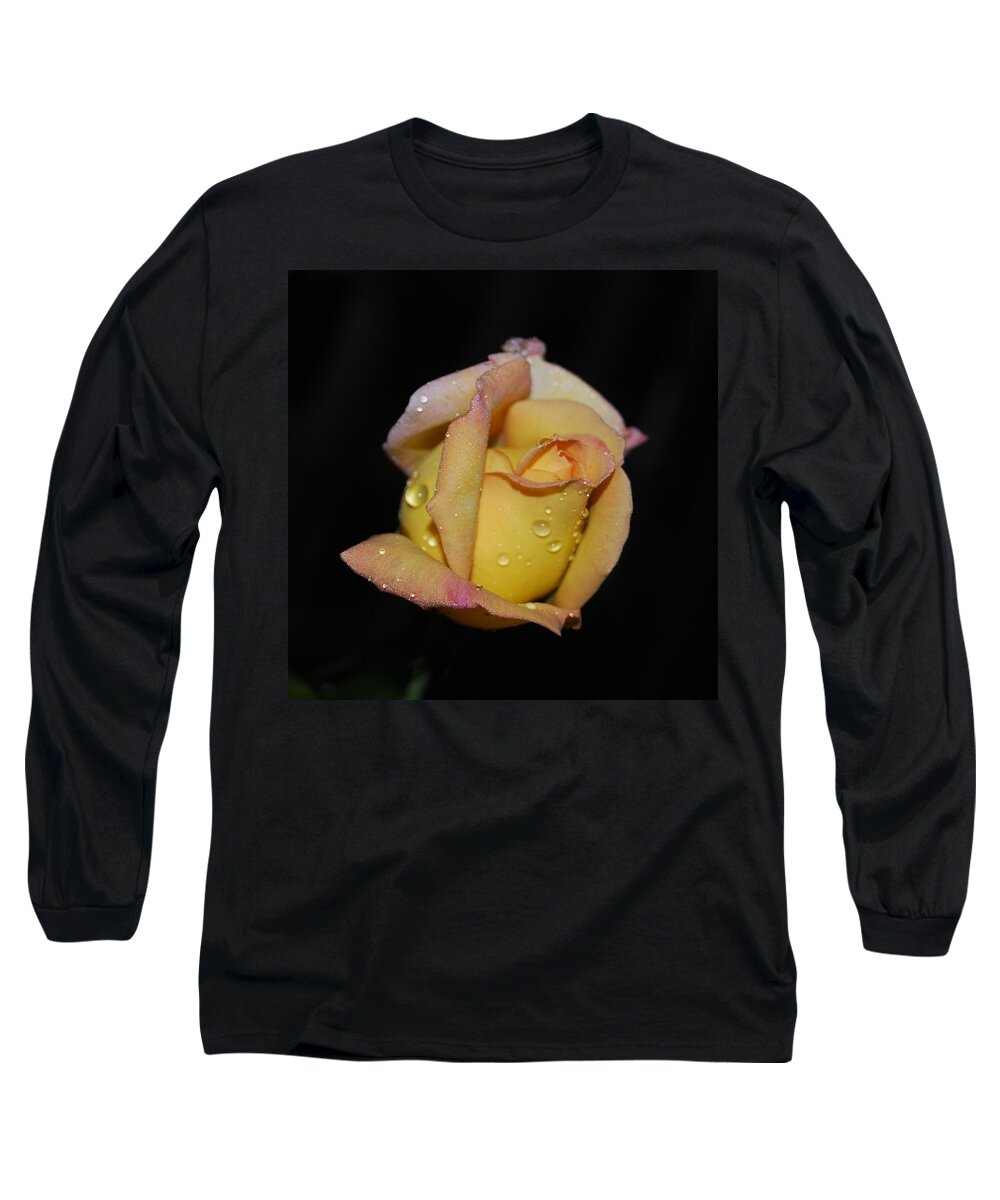 Rose Long Sleeve T-Shirt featuring the photograph Fresh as the Morning Dew by Judy Hall-Folde