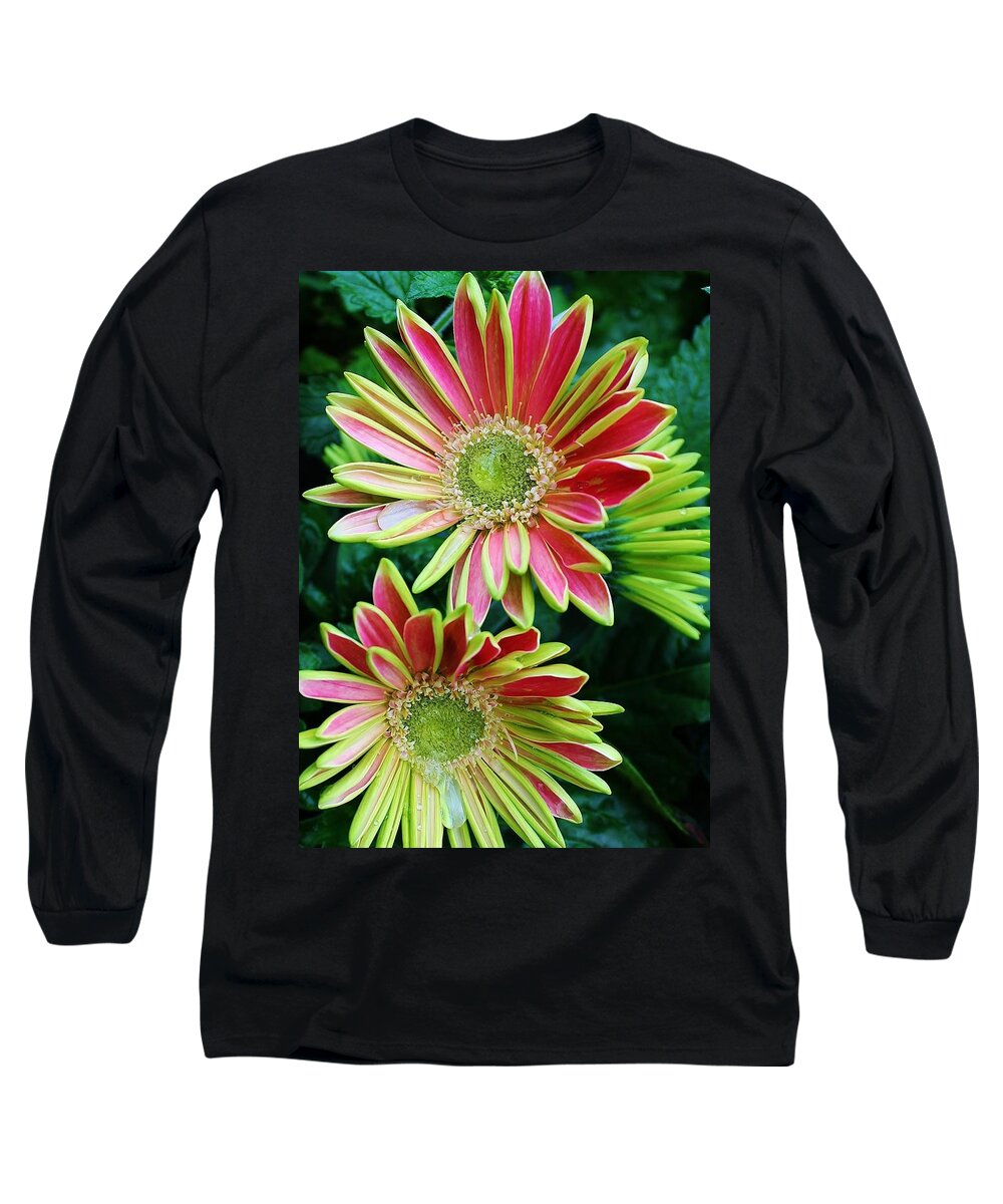 Flora Long Sleeve T-Shirt featuring the photograph Gerber Daisies by Bruce Bley