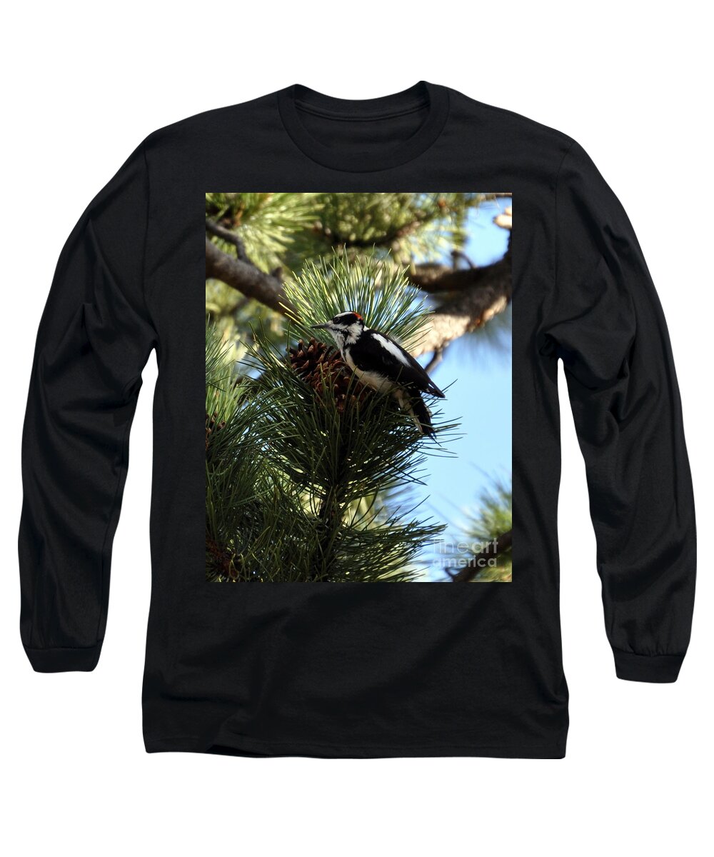 Woodpecker Long Sleeve T-Shirt featuring the photograph Hairy Woodpecker on Pine Cone by Dorrene BrownButterfield