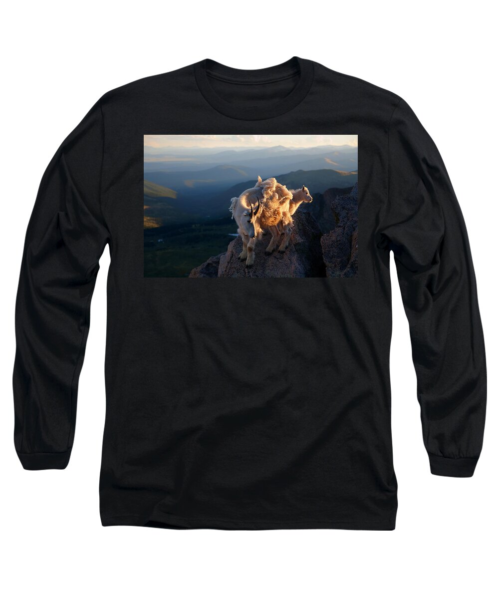 Mountain Goats; Posing; Group Photo; Baby Goat; Nature; Colorado; Crowd; Baby Goat; Mountain Goat Baby; Happy; Joy; Nature; Brothers Long Sleeve T-Shirt featuring the photograph Two Faces West #1 by Jim Garrison