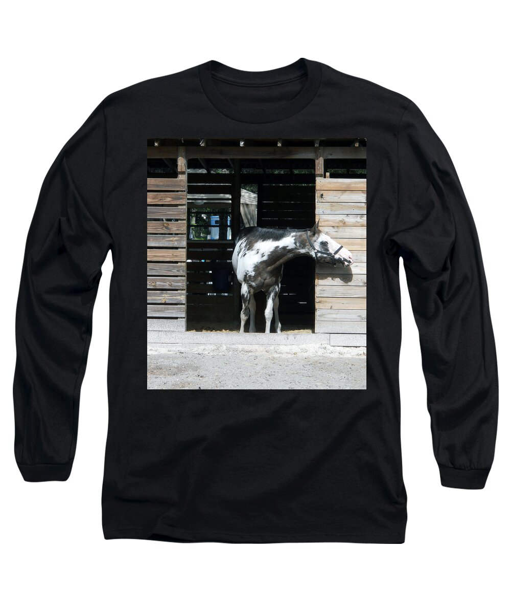 Horse Long Sleeve T-Shirt featuring the photograph Is It Safe to Come Out by Judy Hall-Folde