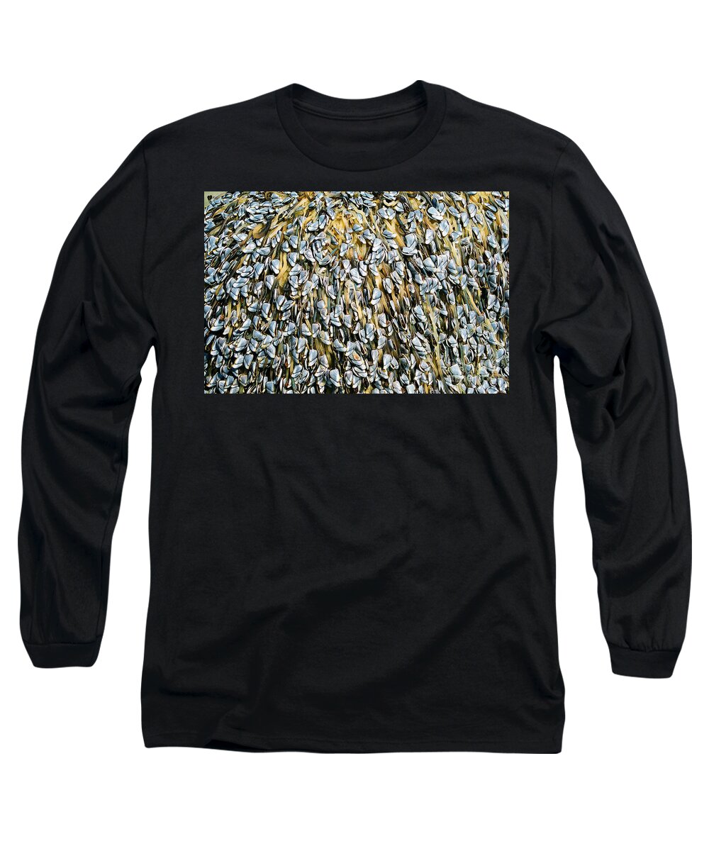 Muscles Long Sleeve T-Shirt featuring the photograph Log covered in Muscles by Randy Harris