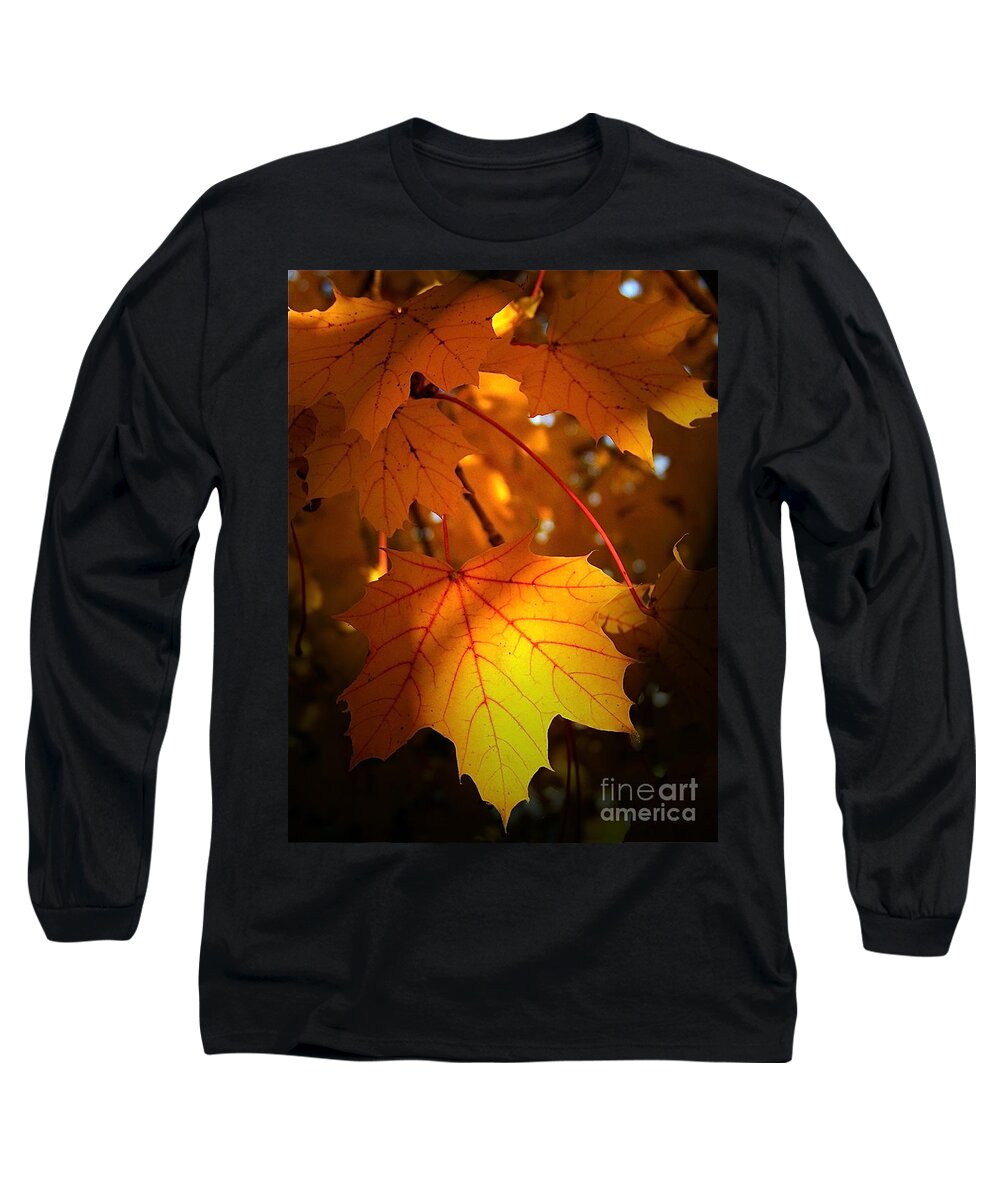 Color Photography Long Sleeve T-Shirt featuring the photograph Maple At First Light by Sue Stefanowicz
