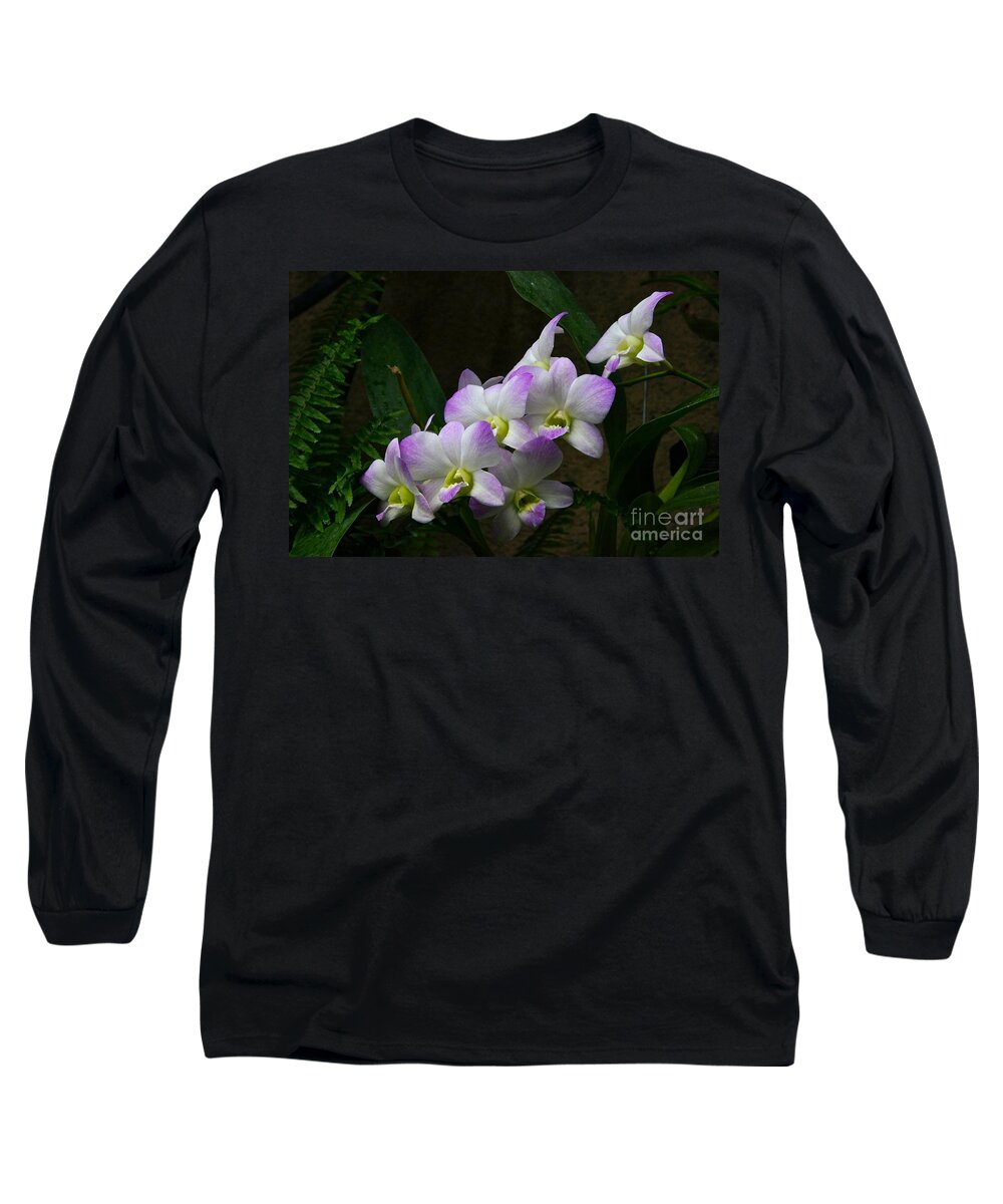 Orchid Long Sleeve T-Shirt featuring the photograph Moth Orchid Array by Byron Varvarigos