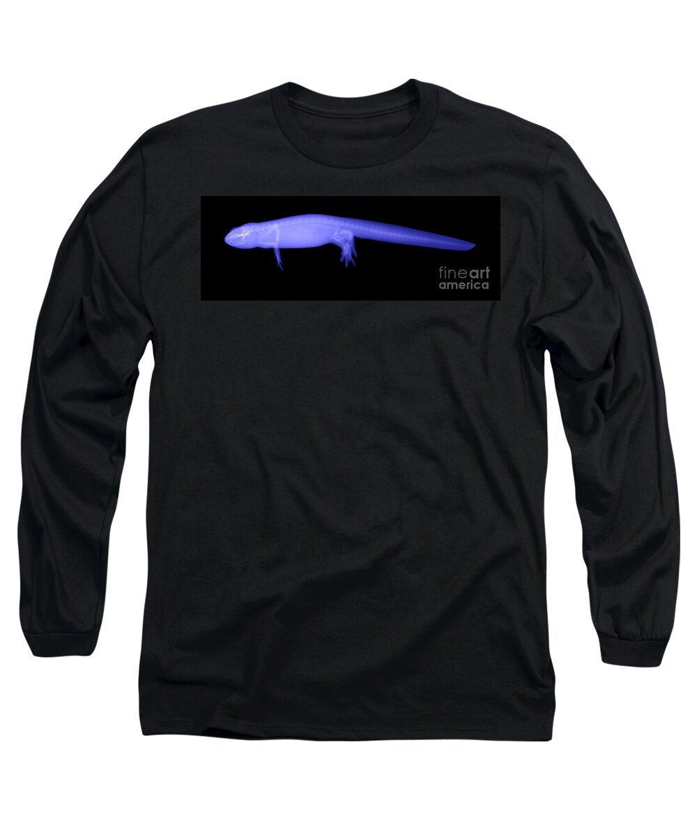X-ray Long Sleeve T-Shirt featuring the photograph Newt by Ted Kinsman