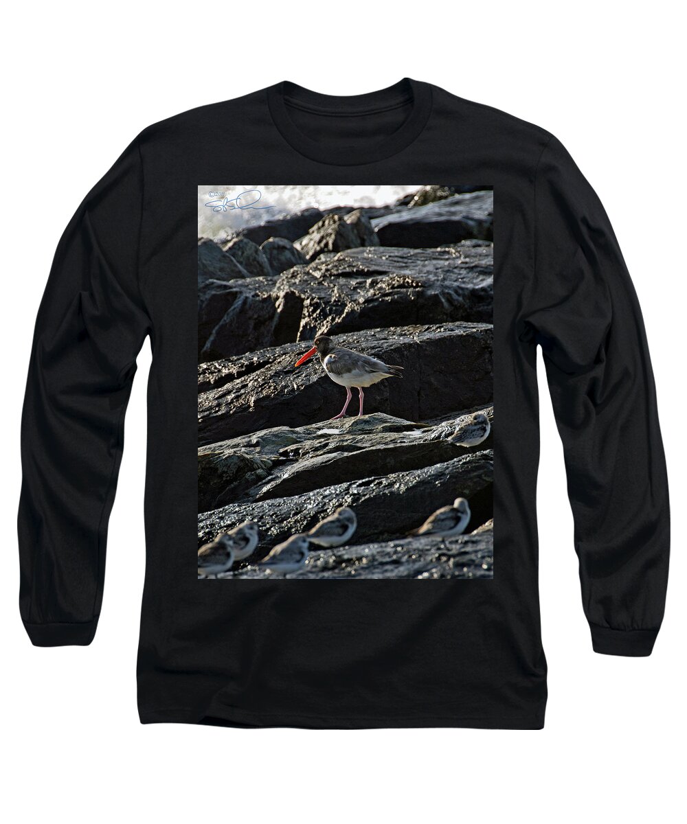 Oyster Catcher Long Sleeve T-Shirt featuring the photograph Oyster on the Rocks by S Paul Sahm