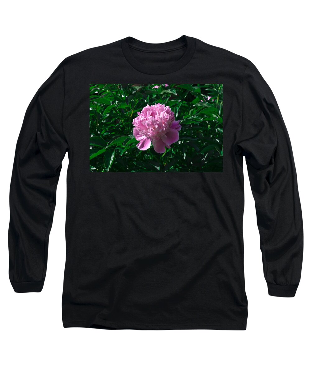 Closeup Long Sleeve T-Shirt featuring the photograph Peony by Michael Goyberg