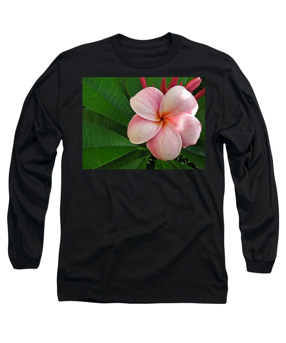 Plumeria Long Sleeve T-Shirt featuring the photograph Pink Plumeria by Shane Kelly