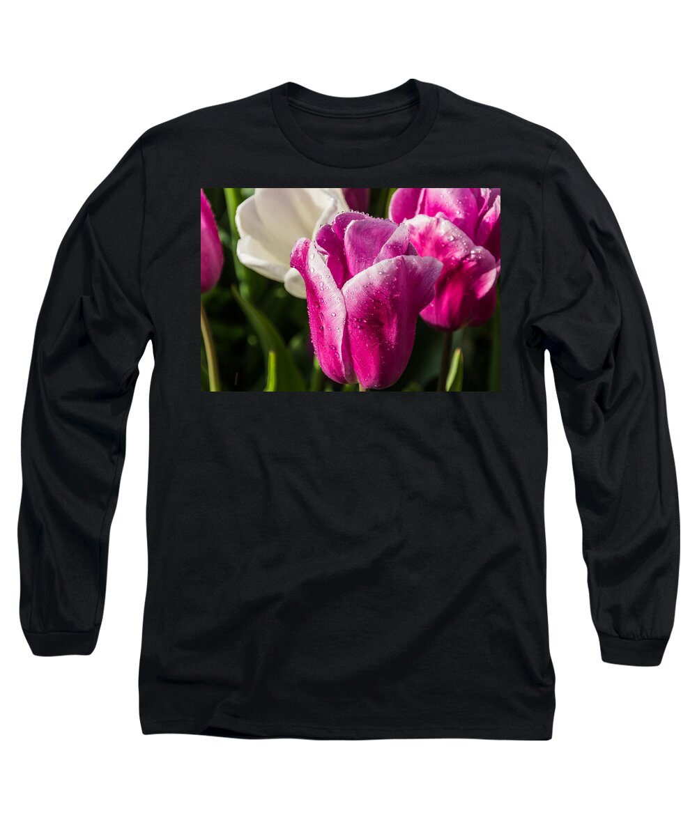 Tulip Long Sleeve T-Shirt featuring the photograph Pink Tulip by David Gleeson
