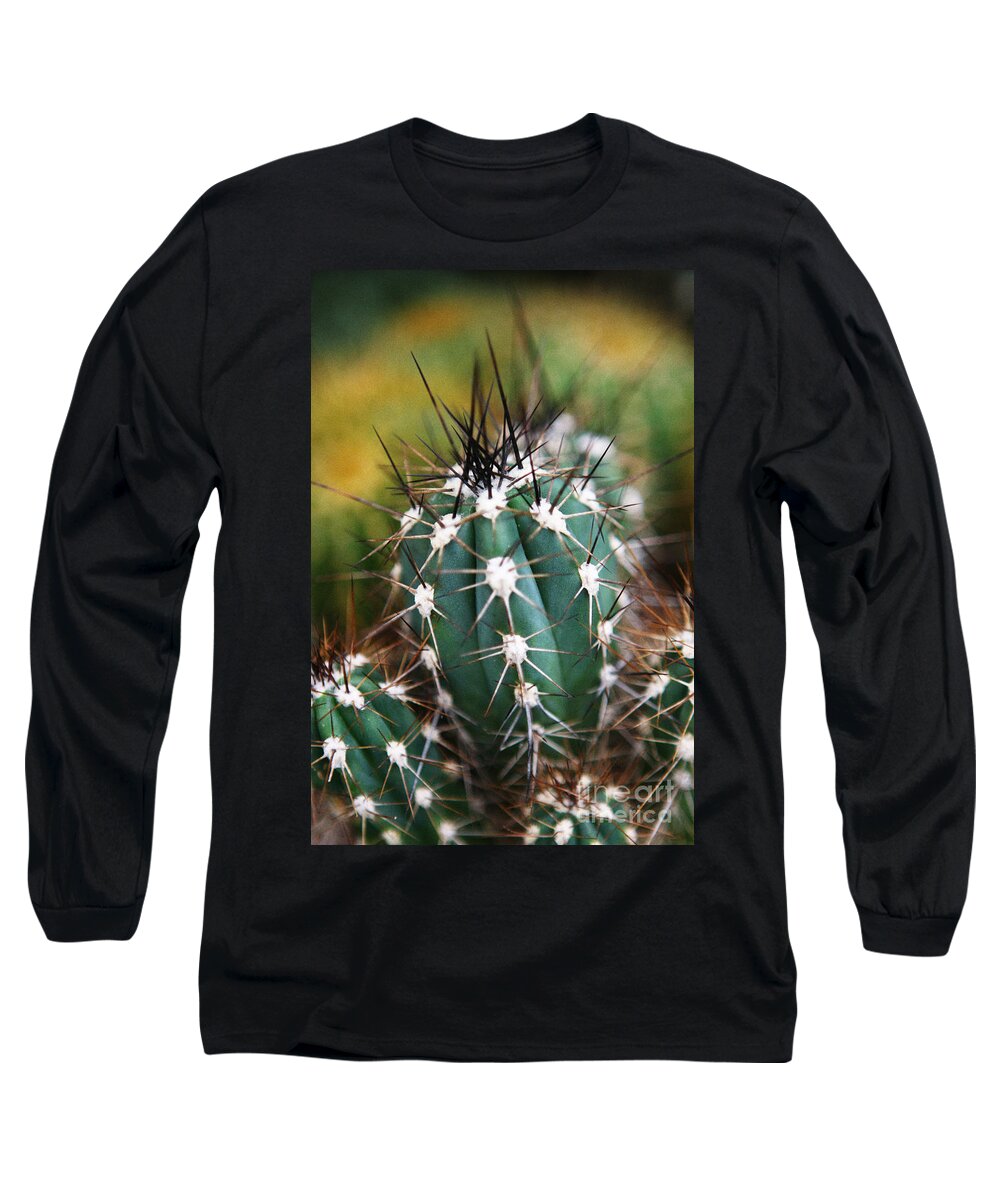 Cactus Long Sleeve T-Shirt featuring the photograph Prickly by Leslie Leda