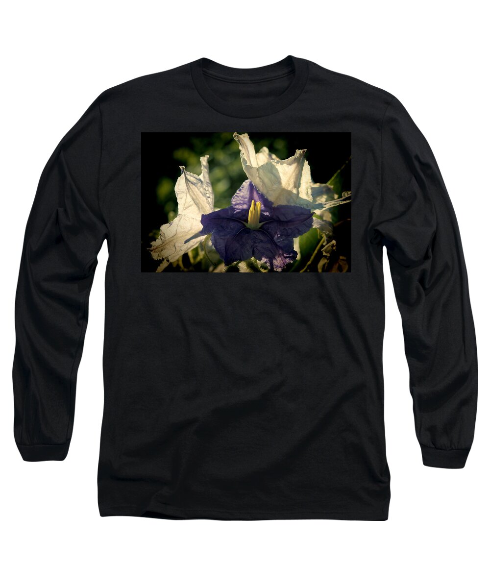 Flower Long Sleeve T-Shirt featuring the photograph Radiance by Steven Sparks