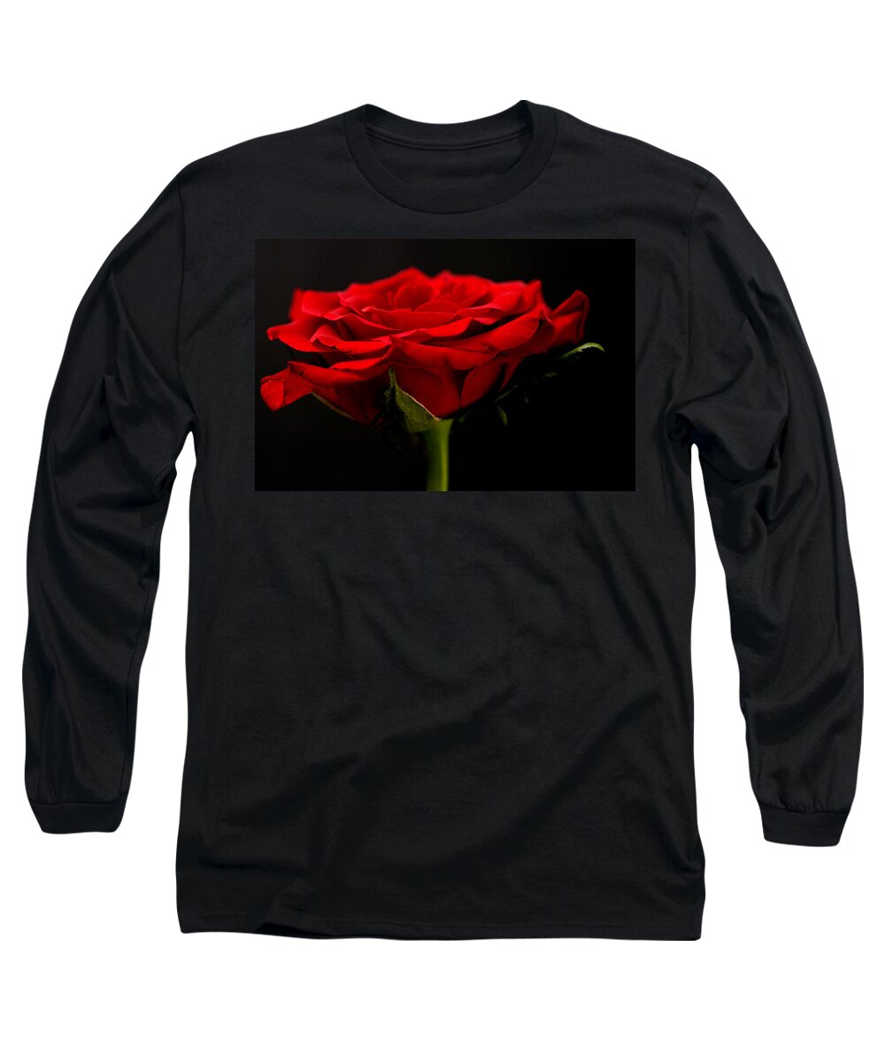 Red Rose Long Sleeve T-Shirt featuring the photograph Red Rose by Steve Purnell