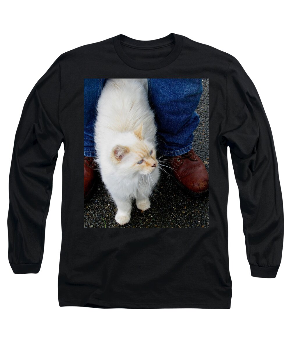Cats Long Sleeve T-Shirt featuring the photograph Snowbell Making Friends by Rory Siegel