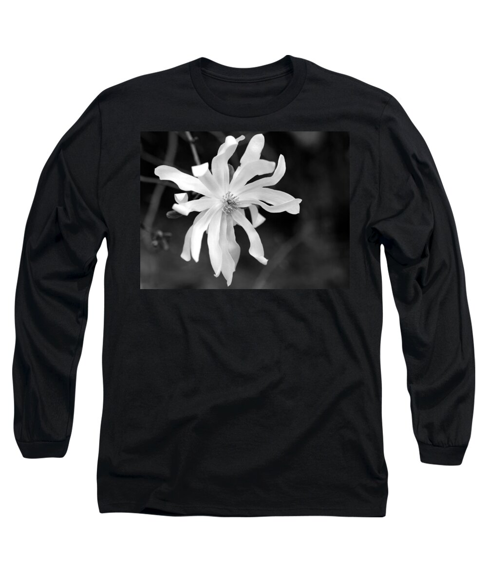 Star Magnolia Long Sleeve T-Shirt featuring the photograph Star Magnolia by Lisa Phillips