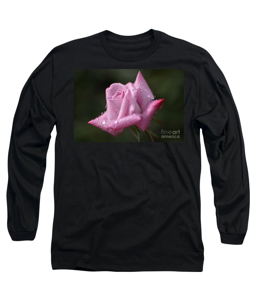 Rose Long Sleeve T-Shirt featuring the photograph Summer Shower by Living Color Photography Lorraine Lynch