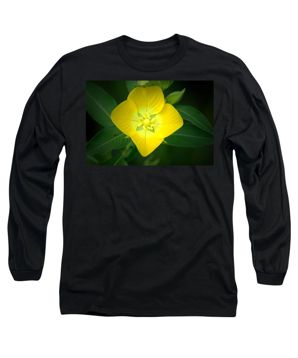 Flower Long Sleeve T-Shirt featuring the photograph Symmetry by David Weeks