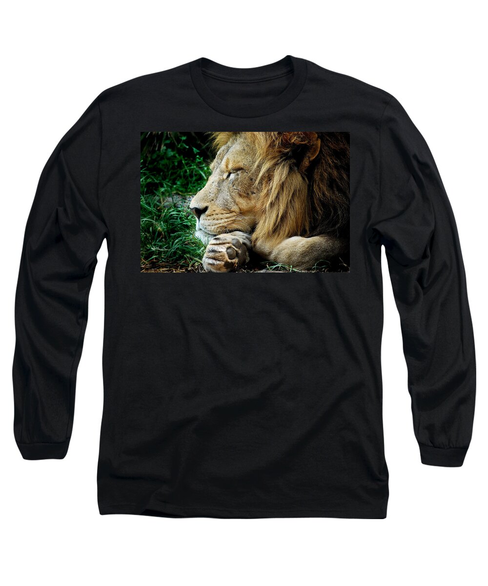 Lion Long Sleeve T-Shirt featuring the photograph The Lions Sleeps by Michelle Wrighton