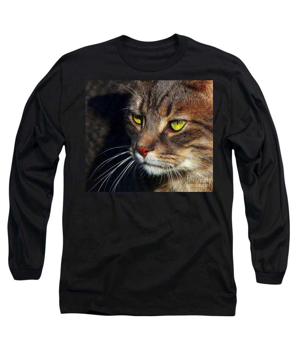 Cats Long Sleeve T-Shirt featuring the photograph The Watcher by Davandra Cribbie