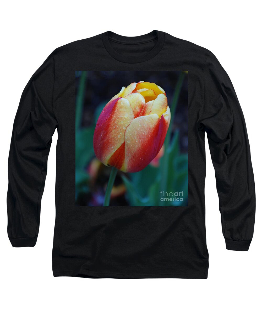 Tulip Long Sleeve T-Shirt featuring the photograph Tulip in Rain by Grace Grogan