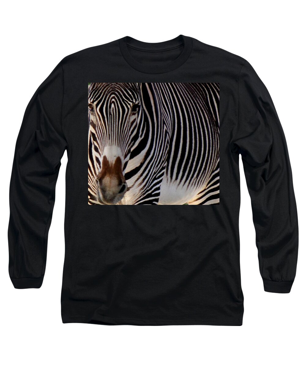 Zebra Long Sleeve T-Shirt featuring the photograph Up Close and Personal by Leigh Meredith