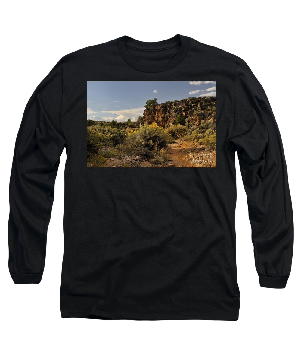 Landscape Long Sleeve T-Shirt featuring the photograph Westward Across The Mesa by Ron Cline