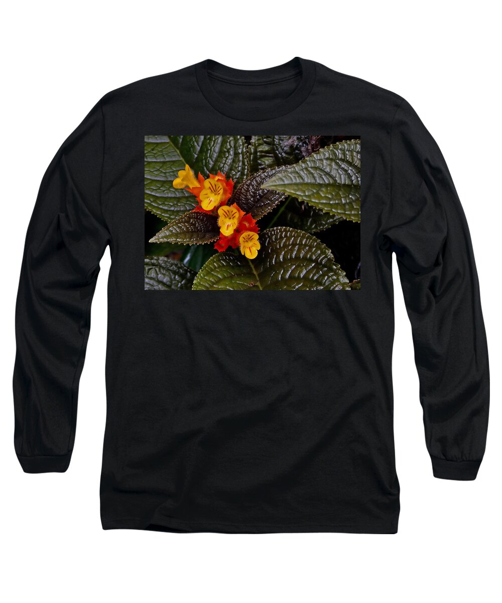 Flower Long Sleeve T-Shirt featuring the photograph Yellow Flowers by Farol Tomson