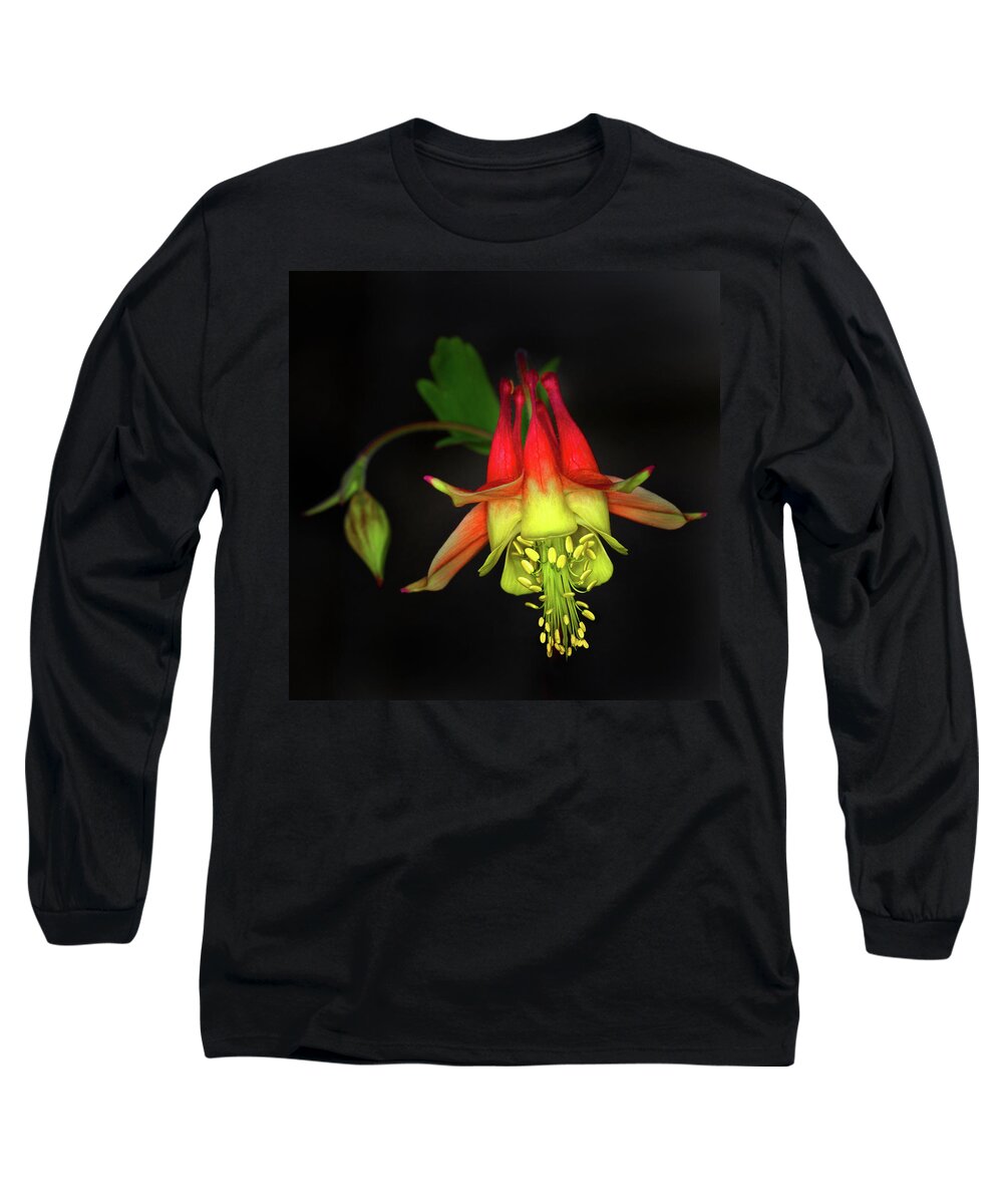 Colombine Long Sleeve T-Shirt featuring the photograph Columbine #2 by Jamieson Brown
