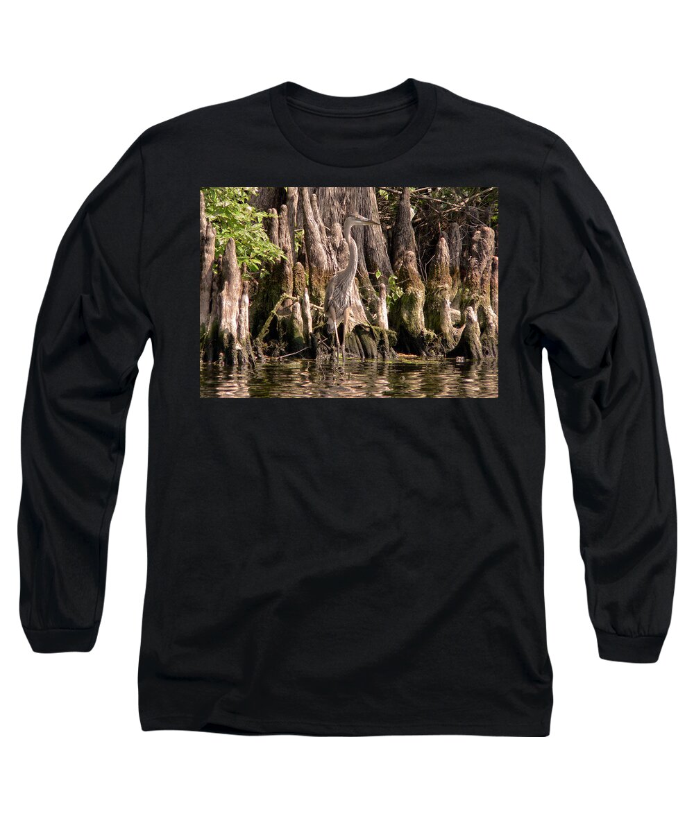 Great Blue Heron Long Sleeve T-Shirt featuring the photograph Heron and Cypress Knees #1 by Steven Sparks