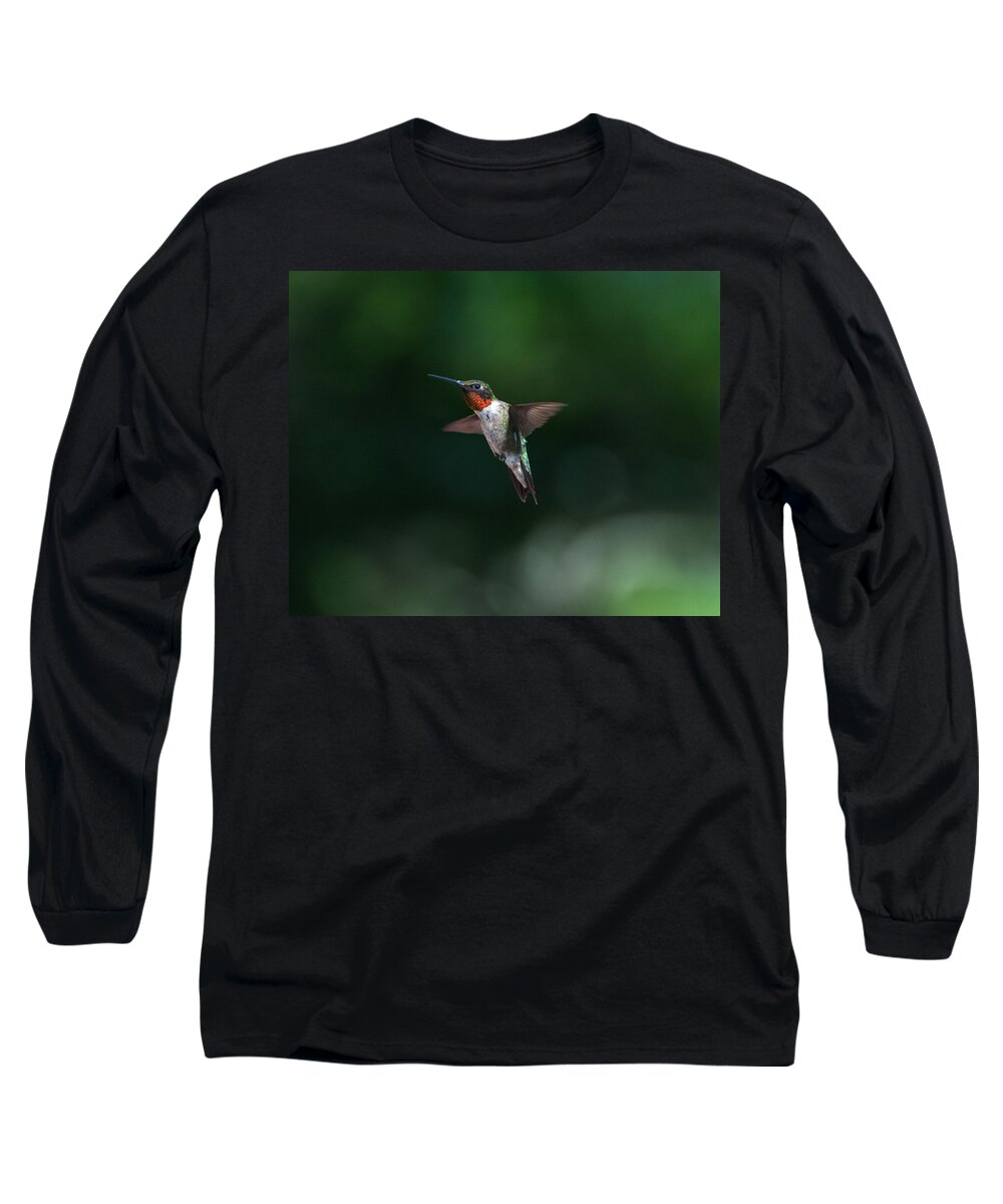 Hummers Long Sleeve T-Shirt featuring the photograph Male Ruby Throated Hummingbird #1 by Brenda Jacobs