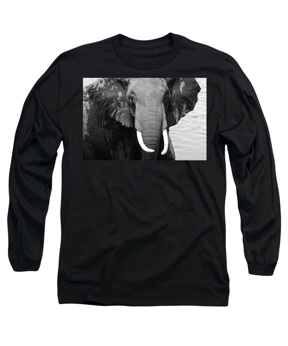 Africa Long Sleeve T-Shirt featuring the photograph Outta My Way #1 by Michele Burgess