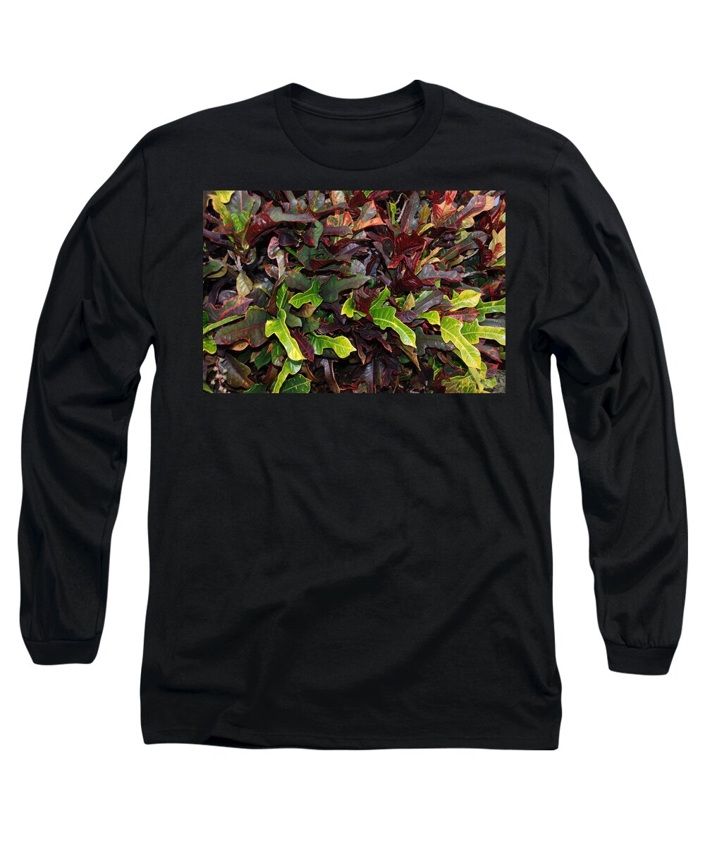Macro Long Sleeve T-Shirt featuring the photograph Red Green Leaves #1 by Rob Hans