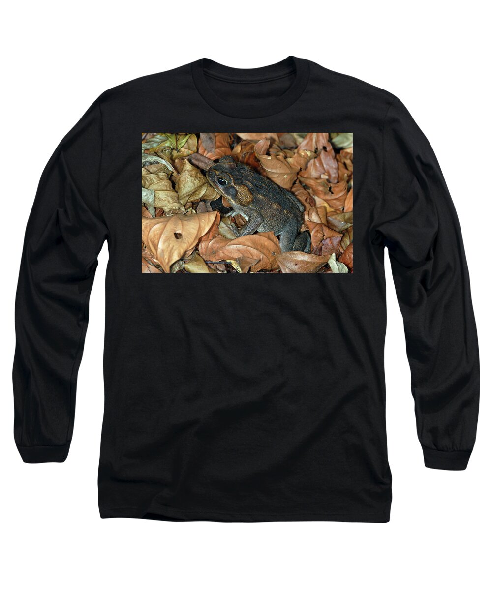 Bufo Marinos Long Sleeve T-Shirt featuring the photograph Cane Toad #2 by Breck Bartholomew
