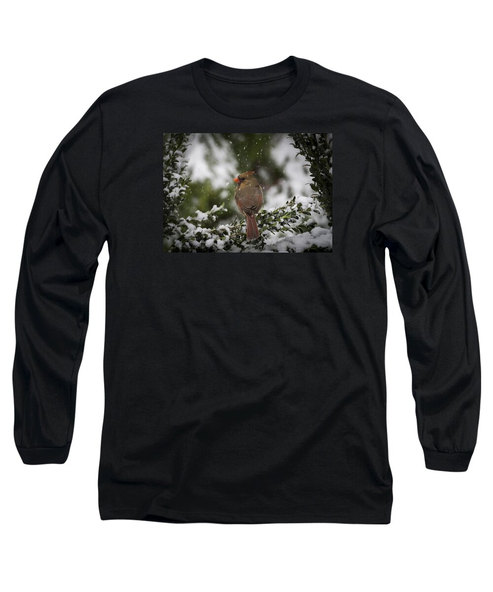 Bird Long Sleeve T-Shirt featuring the photograph Cardinal in Snow #2 by David Kay
