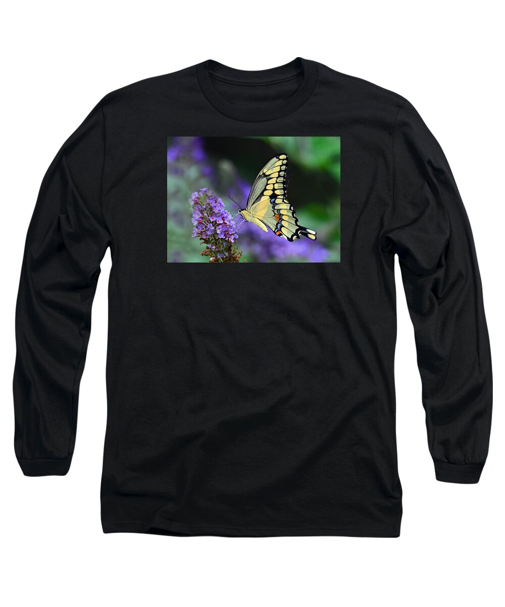 Giant Swallowtail Long Sleeve T-Shirt featuring the photograph Giant Swallowtail #2 by Rodney Campbell