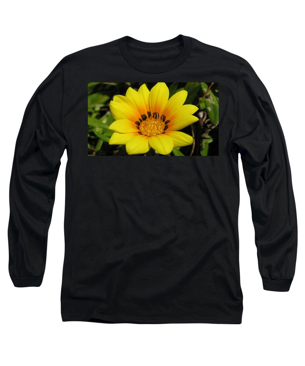 Flower Long Sleeve T-Shirt featuring the photograph Flower #220 by Mariel Mcmeeking